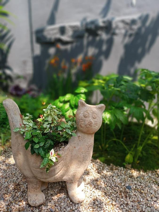 Hanok Got ソウル特別市 エクステリア 写真